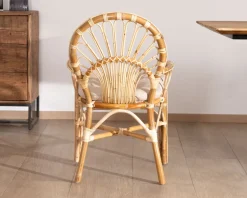 Online Elégant fauteuil de jardin en rotin avec assise rembourrée