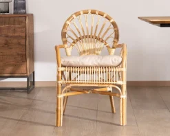 Online Elégant fauteuil de jardin en rotin avec assise rembourrée